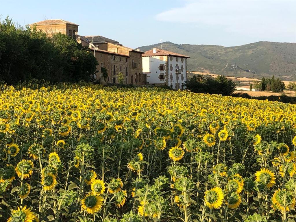Casa Rural La Sacristana Lacar Kültér fotó